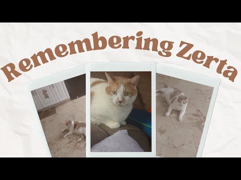 Remembering Zerta: A touching tribute video