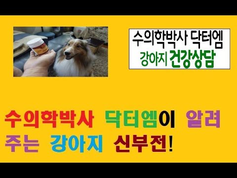 수의학박사 닥터엠이 알려주는  강아지 신부전!!