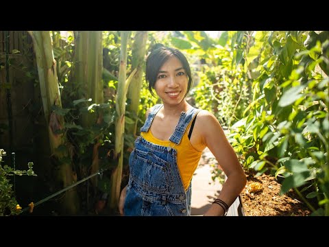 Thrive or Dive: Live Garden Q&A & Updates👩🏻‍🌾