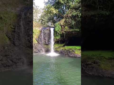 Que bonita caida de agua en La poza de La Cueva en el Río Naolinco