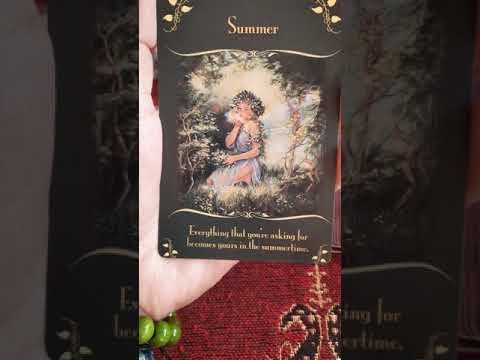 #fairymessages #oraclemessages #summer #universemessage