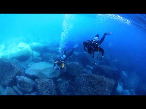 【久々熊野外洋！綺麗！】三重熊野須野ダイビング