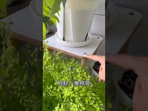 【蓝胖小花匠🎏】 阳台花架合集～我使用的8款花架的款式，以及它们的优缺点～给大家做个参考咯。#花架 #爱生活爱养花 #我的阳台小花园 #阳台花园 #置物架收纳