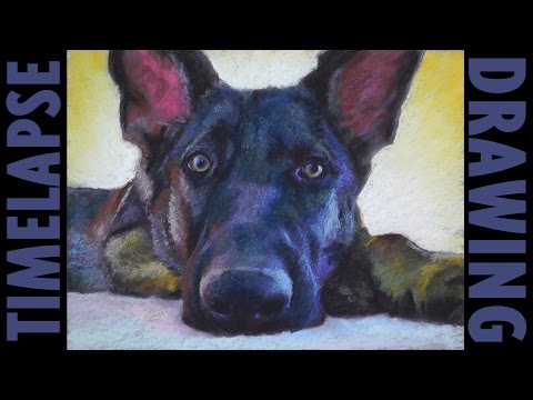 German Shepherd Dog Pastel Painting Timelapse