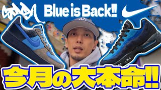 【スニーカー】これはどうしても欲しい!!今月の大本命STASH×NIKEコラボのAIR FORCE 1&AIR MAX 95!!【スニーカー/抽選】