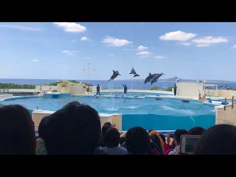 20180406~09 沖繩之旅