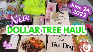 NEW DOLLAR TREE HAUL!  Fun Finds!  June 24, 2022 #LeighsHome