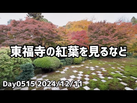 Day0515_ 京都、東福寺の紅葉を見る、流石に散り始めていた。蚕の繭を食べた等【2024年12月11日】