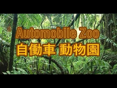 ★自働車動物園★ ～Car Zoo～