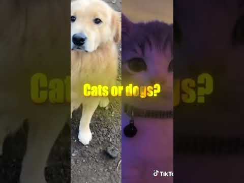 Dogs or cats