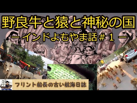 野良牛と猿と神秘の国　ー インドよもやま話#1 ー