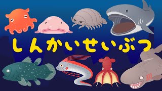 【深海生物の名前】発見！深海にいる生き物をライトで照らして見つけよう！