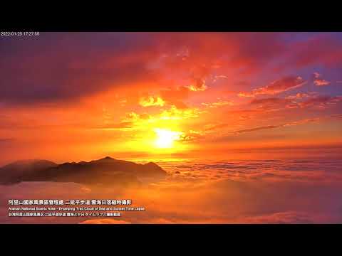 阿里山即時影像-二延平步道-縮時 | Eryanping Trail Sunset Timelapse in Alishan, Taiwan 2022-01-24