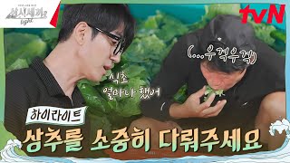 이거 왜 이래...? 설비부 해진의 상추 씻는 법 #highlight #삼시세끼Light EP.7