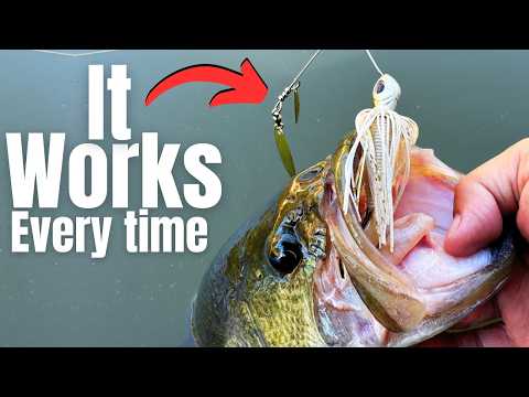 TRULY The Best FALL BAIT For BIG BASS