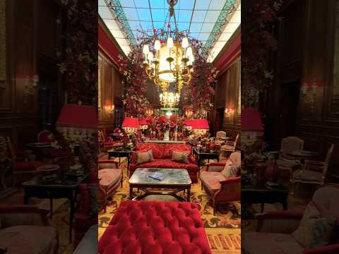 This is Hotel Sacher Vienna ❤️ #luxury #luxuryhotel #sacher #vienna #hotelreview #roomtour