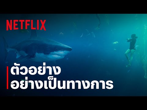 มฤตยูใต้ปารีส (Under Paris) | ตัวอย่างอย่างเป็นทางการ | Netflix