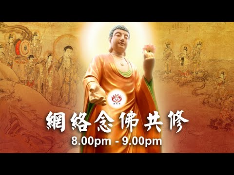 【同步】净土宗网络念佛【第1737天】+ 开示视频《弥陀到了》 19-12-2024 Online Recitation Session（晚上8pm-9pm (GMT+8))【打开CC字幕】