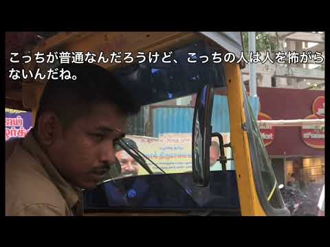 インドのドライブ