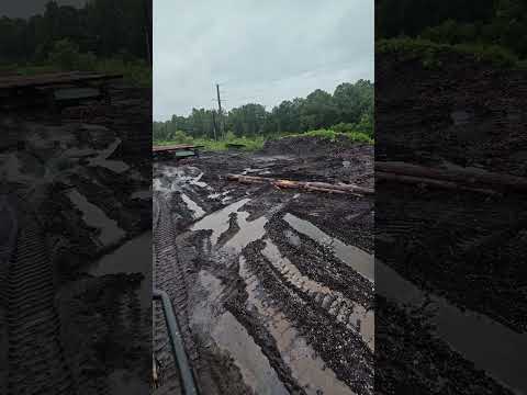 just a lil wet today. did someone say safety meeting 🤔  #sawmill #country