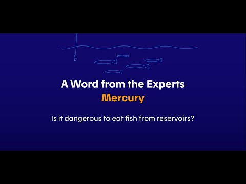 Is it dangerous to eat fish from reservoirs?