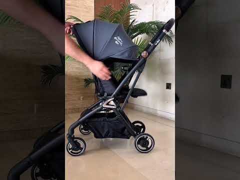 Life 360 Reversible Stroller