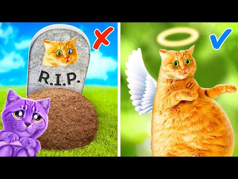 My Mom Is Back From Heaven 👻🐱 *Gadgets And Crafts For Cat Lovers*