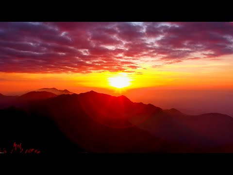 阿里山即時影像-二延平步道-夕陽縮時 2023-12-25 | Sunset and Cloud-sea Timelapse Eryanping Trail, Alishan, Taiwan