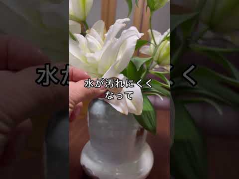 おばあちゃんの園芸　#howto #園芸 #ガーデニング