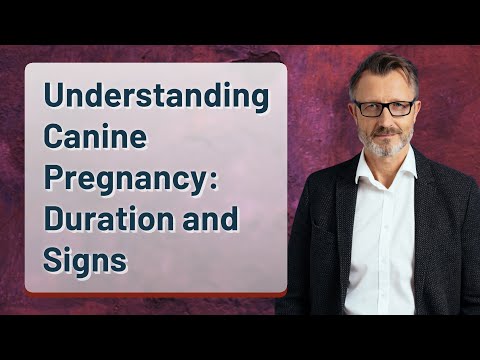 Understanding Canine Pregnancy: Duration and Signs