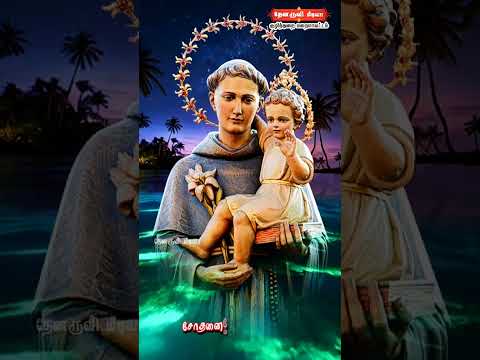 Tamil Catholic Status song-Tamil Catholic Status song (துன்பங்களோ துயரங்களோ) - 08.10.2024)