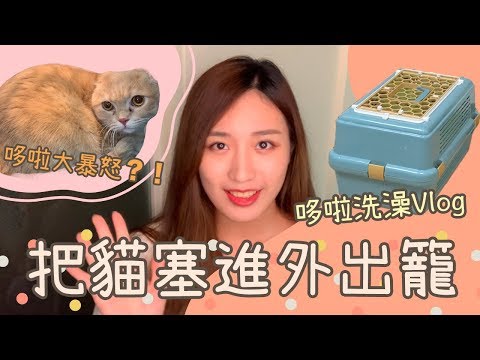 貓咪進外出龍可以訓練？外帶貓咪實驗！哆啦洗澡Vlog！