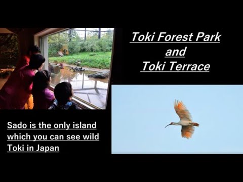 "Toki Forest Park" ＆ "Toki Terrace" ～Measure of facilities in Niigata to prevent COVID-19 infection～