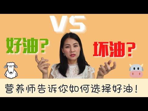 这些食物竟然都有胆固醇？😲 | 你吃对油了吗？【营养一分钟】| 时尚营养