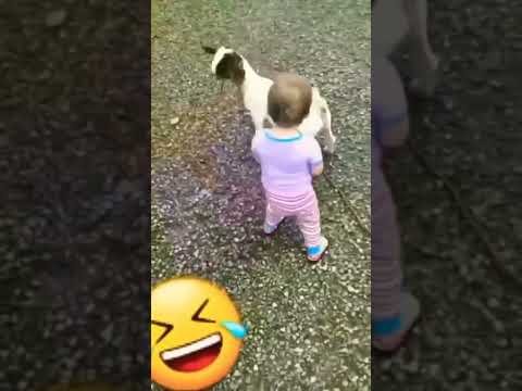 😂 cute baby #viral #short  video #status  #comedyvideo  😂😂#fanny  short