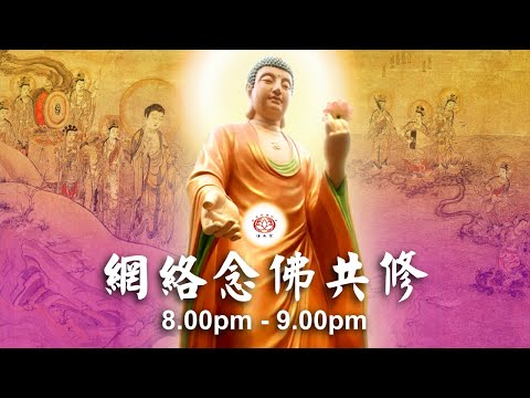 【同步】净土宗网络念佛【第1696天】+ 开示视频《念佛奥妙》 08-11-2024 Online Recitation Session（晚上8pm-9pm (GMT+8))【打开CC字幕】