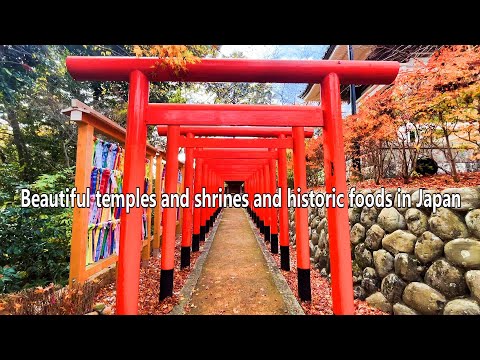 Enjoy famous Japanese shrines and local delicacies