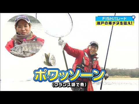 【前編】今が旬！瀬戸の寒チヌを狙う！｜FISHパレード（2024年1月26日放送）