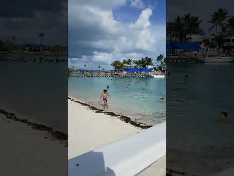 #bluelagoon #bahamas #shorts #tropical