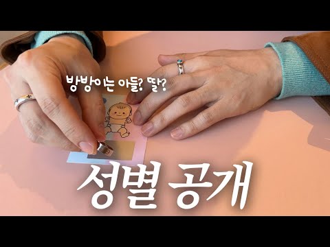 아들? 딸? 아기다리고기다리던 17주차 성별 공개