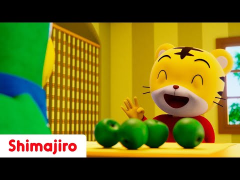 Learn & Sing Numbers 🔢, Alphabet 🔤, Fruit 🍎 & More 🌈| Discover the World with Shimajiro | Kids