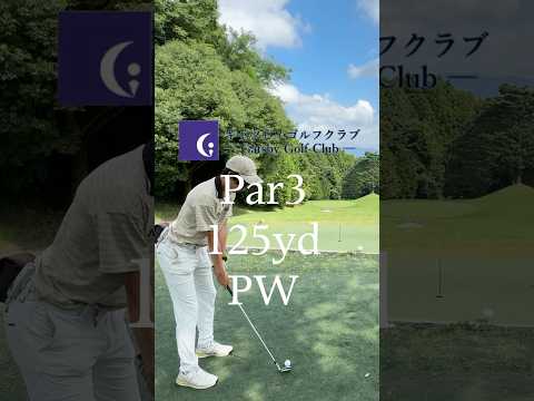 ベスト63のリアルラウンド#ゴルフ #ラウンド動画 #ゴルフスイング #golf #golfswing