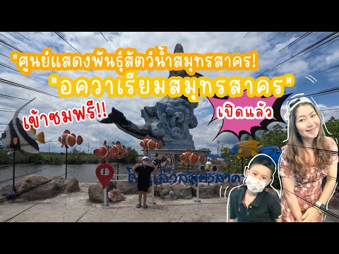 อควาเรียมสมุทรสาคร ศูนย์แสดงพันธุ์สัตว์น้ำ เปิดเข้าฟรีใกล้กรุงเทพ |น้องเนสbyพาเที่ยวEP.57 #อควาเรียม