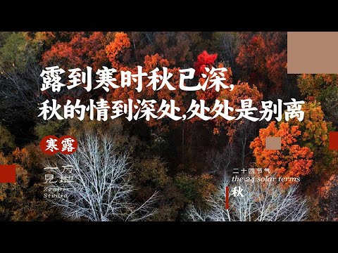 寒露,露到寒时秋已深,秋的情到深处,处处是别离,今天带大家认识一位小朋友,他叫“岸”