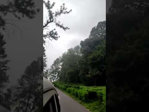 #trending #viral #thrissur #allkerala #nature #happiness #valparai #shorts #familyvlog #allkerala