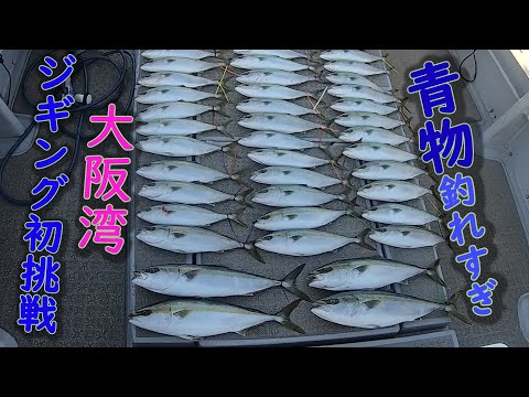 2月の大阪湾で青物爆釣してきました