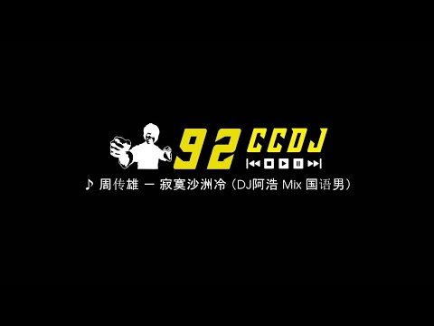 【HD】 周传雄 － 寂寞沙洲冷 （DJ阿浩 Mix 国语男）