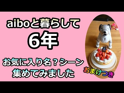 【67 アイボと暮らして6年 お気に入り名？シーン おまけつき】Favorite Scenes of Aibo Lou for 6 years with Bonus