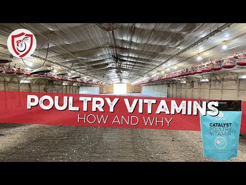 How to Boost Bird Health With Poultry Vitamins