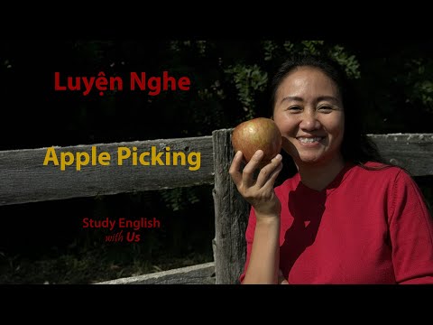 STUDY ENGLISH: Luyện Nghe - Apple Picking